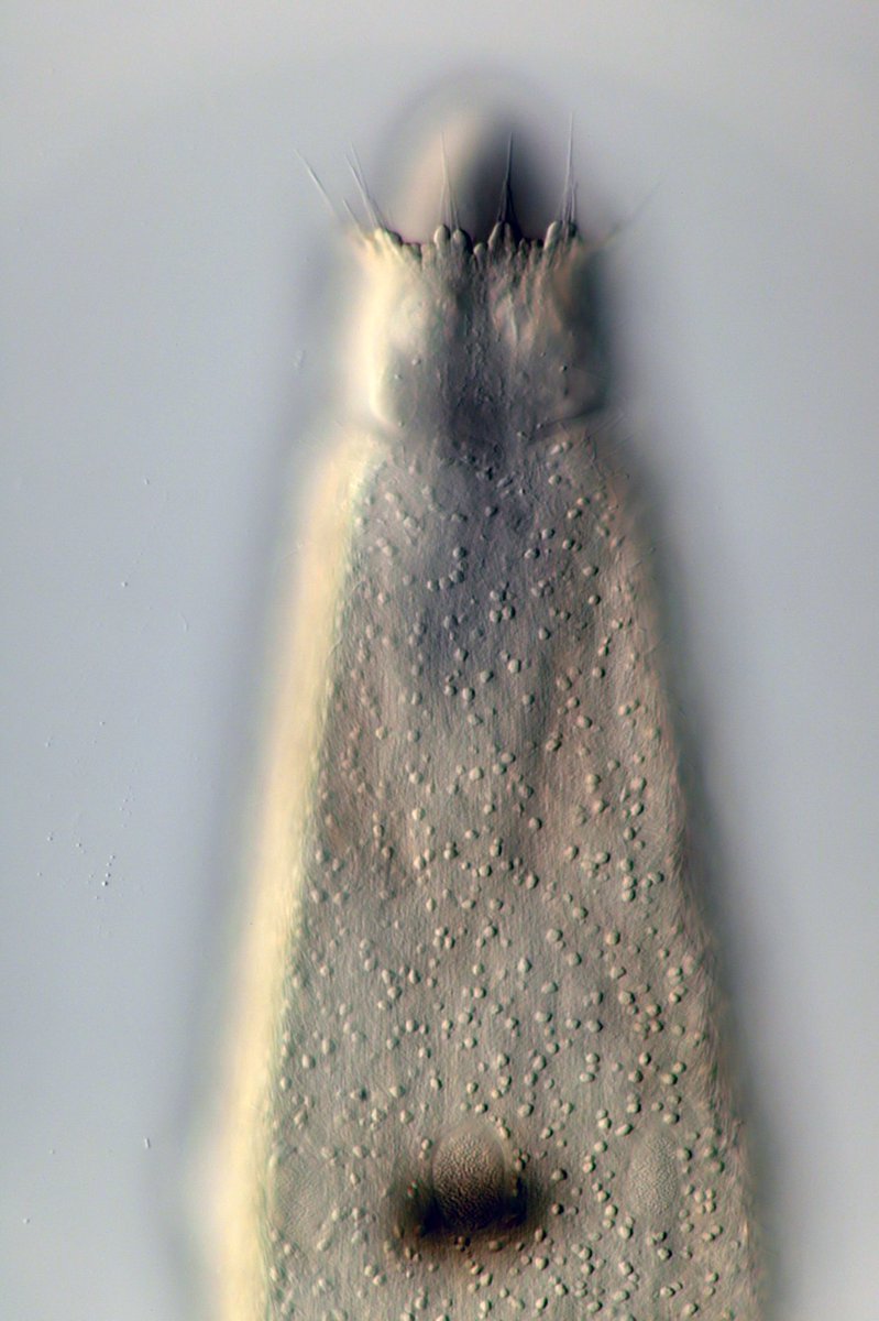 HoogeMatt's tweet photo. https://t.co/ObpaslzytY