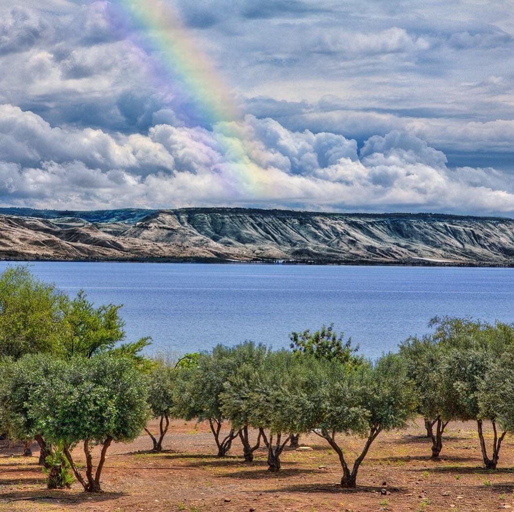 Israel Tourism tweet media