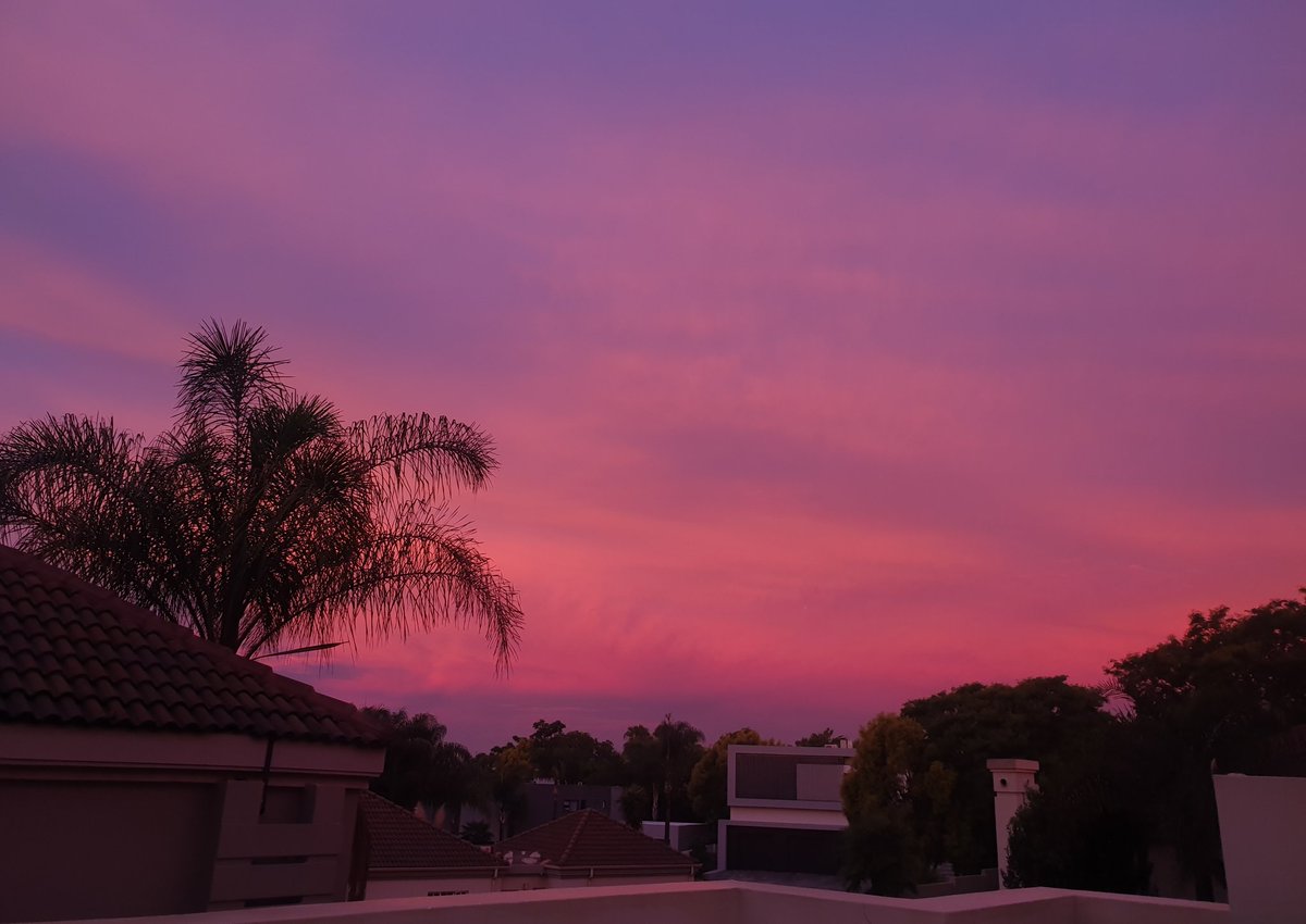 basheera tweet media