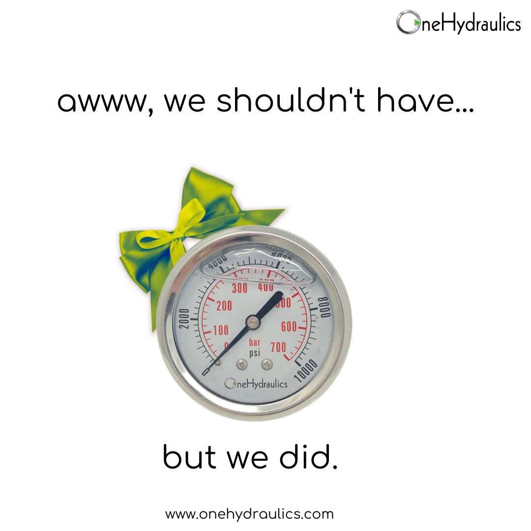 We can take the Christmas pressure, we promise.💚
#onehydraulics #customgauges #justforyou #justfromus