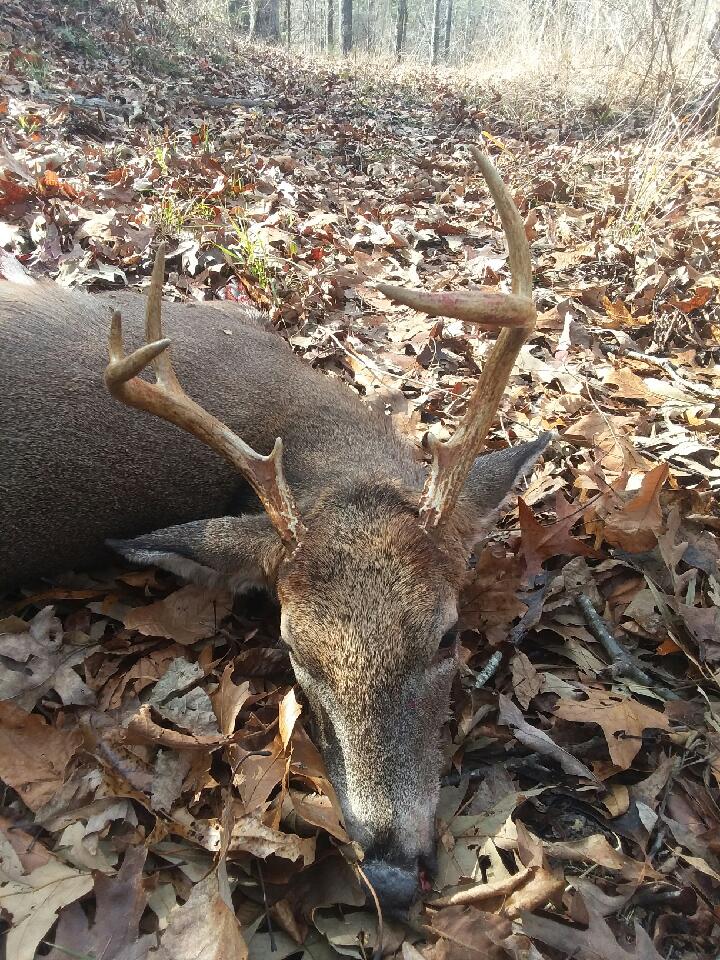 Erick Blackerby tweet media