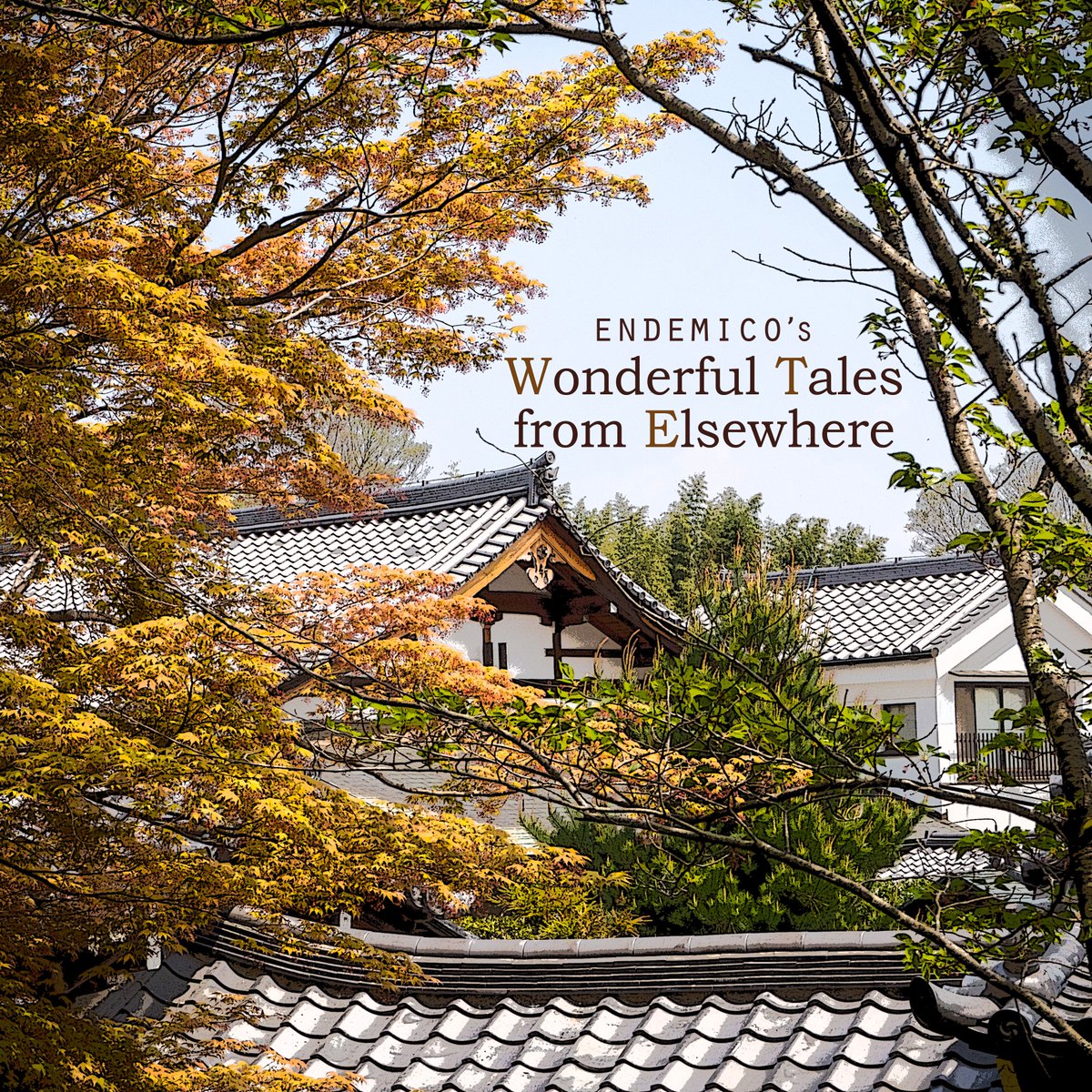 endemico tweet media