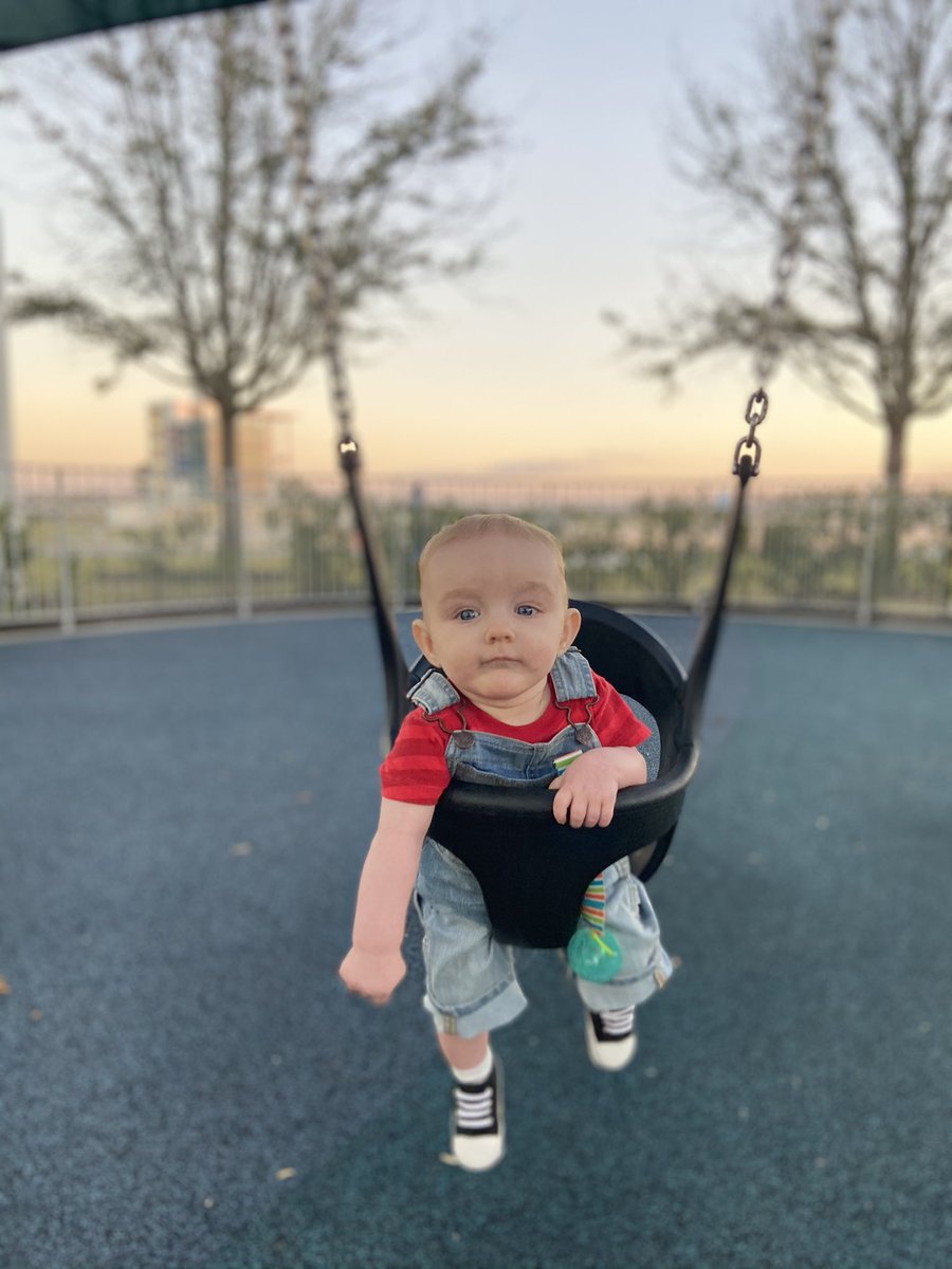Kat_Dani_'s tweet photo. Why my son almost 7 months old serving looks like that? πβ₯οΈ
#gerbermodel #FLlife #sarasota https://t.co/19UKMei14Y