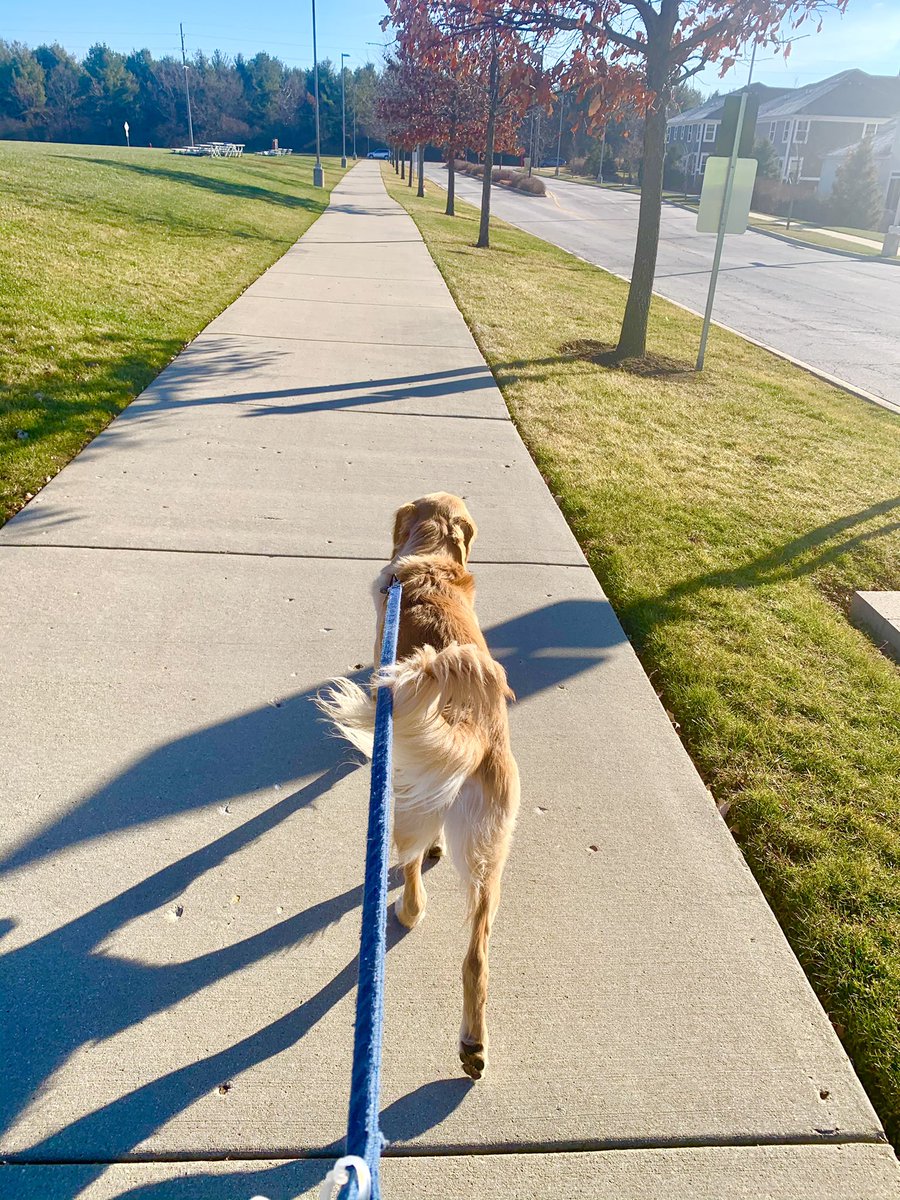 Nicole Yoon tweet media