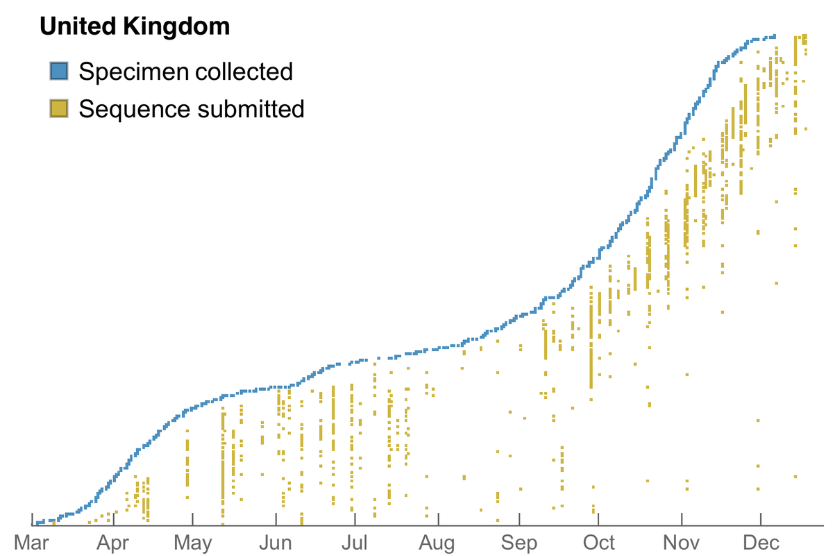 Comparing to the UK we see a clear difference. Here is the same plot of specimen collection date in blue and sequence sharing date in yellow for the UK. You can see that in the fall the UK made remarkable improvements to their timeliness of sequencing. 8/12