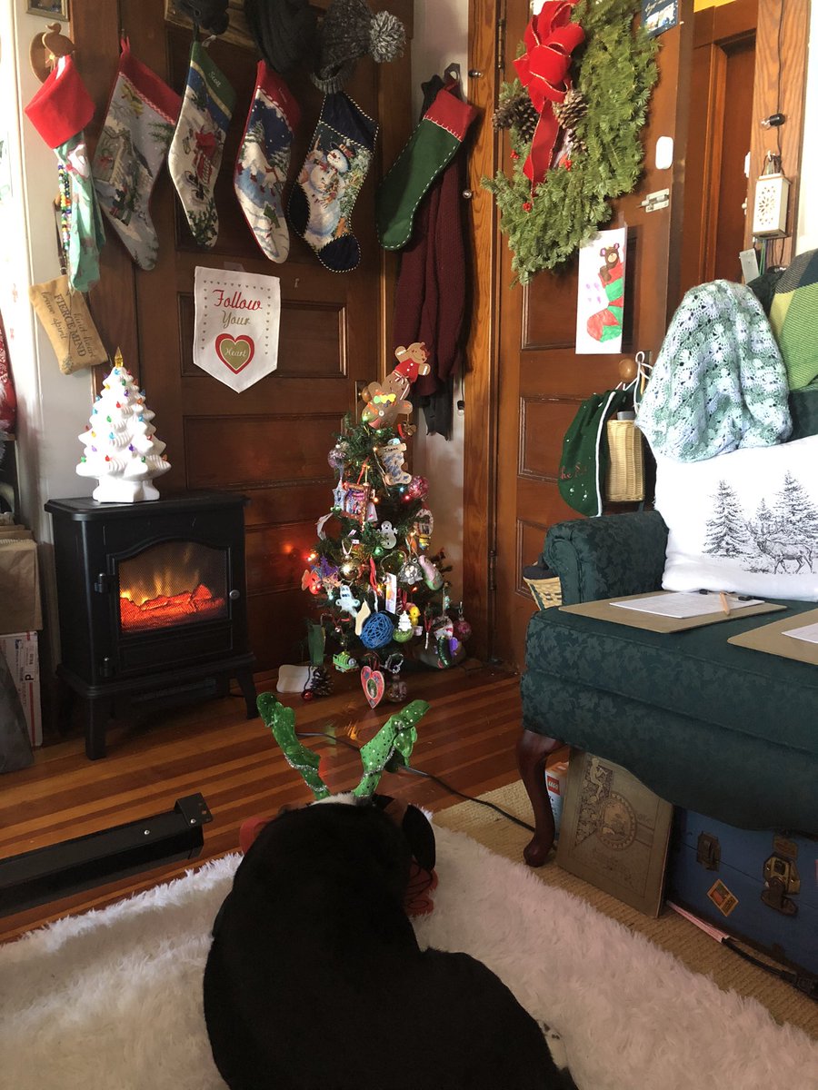 BoardgameDog's tweet photo. Just a resting reindeer... 

Happy Holidays! https://t.co/4JvatHU7RG