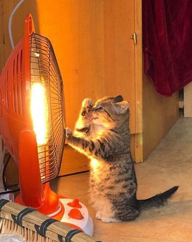 digerkm's tweet photo. Yine kalbimiz sıcacık oldu🥺 https://t.co/kkocJDz74A