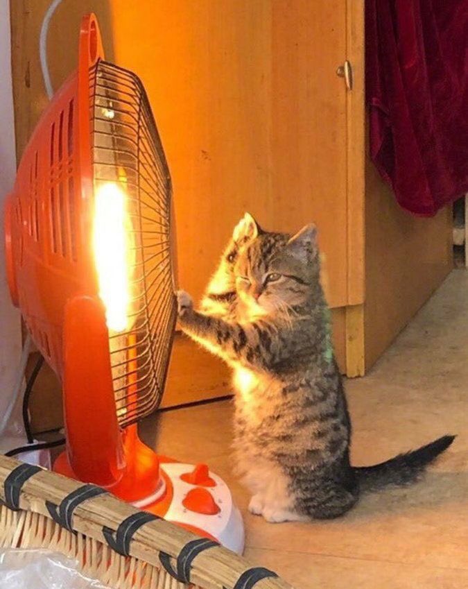 digerkm's tweet photo. Yine kalbimiz sıcacık oldu🥺 https://t.co/kkocJDz74A