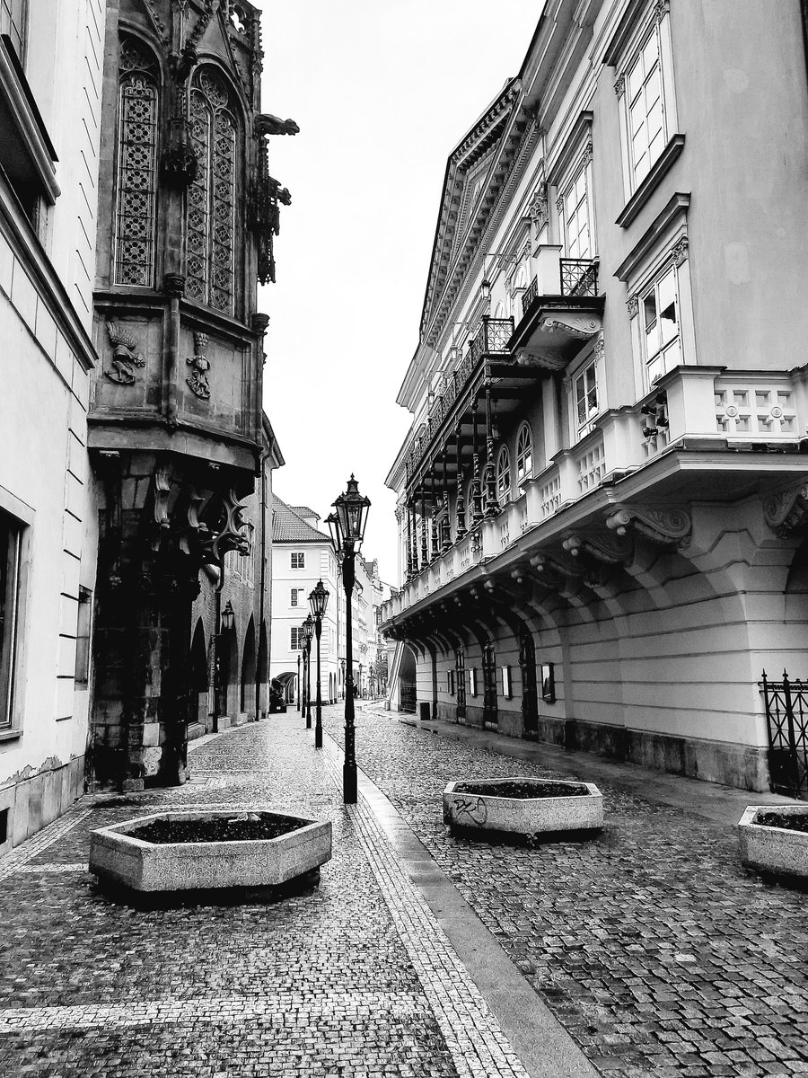 ElaMoscicka's tweet photo. Our first #Christmas in #Prague 🇨🇿
#MicrosoftLife #WomenInTech #ElaInTech https://t.co/Y8LGDtxN3u