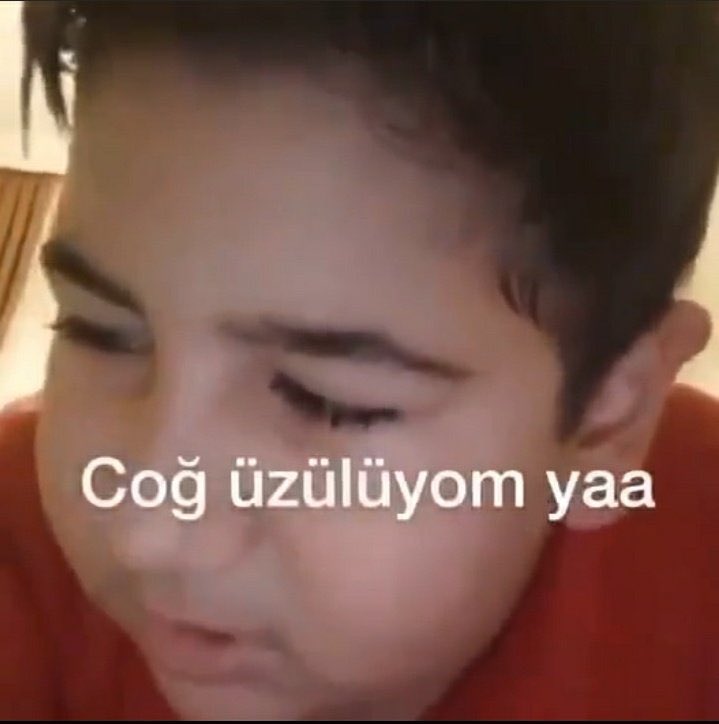 caption this (@alintilayalim) on Twitter photo 