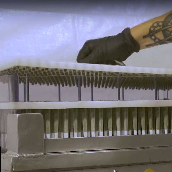 CustomConesUSA's tweet image. 10 Steps to Perfect Your Pre-Roll Production: ow.ly/5qrM50CTmFA

With these processes in place, there is no doubt that you will be able to deliver the highest quality pre-rolls to the consumer, as well as avoid common pitfalls.

#customcones #cannabis #cannabisculture