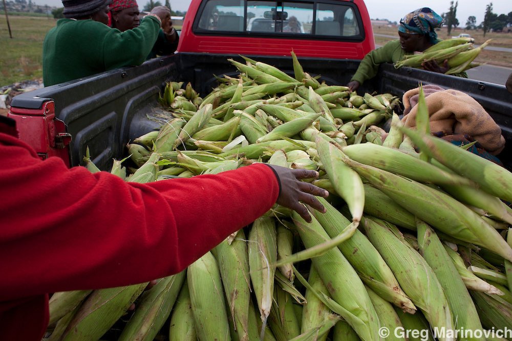 3 weeks later, her supplier delivered her first sack of corn, and her husband helped her install her braai stand by the entrance of the clinic. Her husband also bought her coal and paraffin then left everything else in her capable hands.