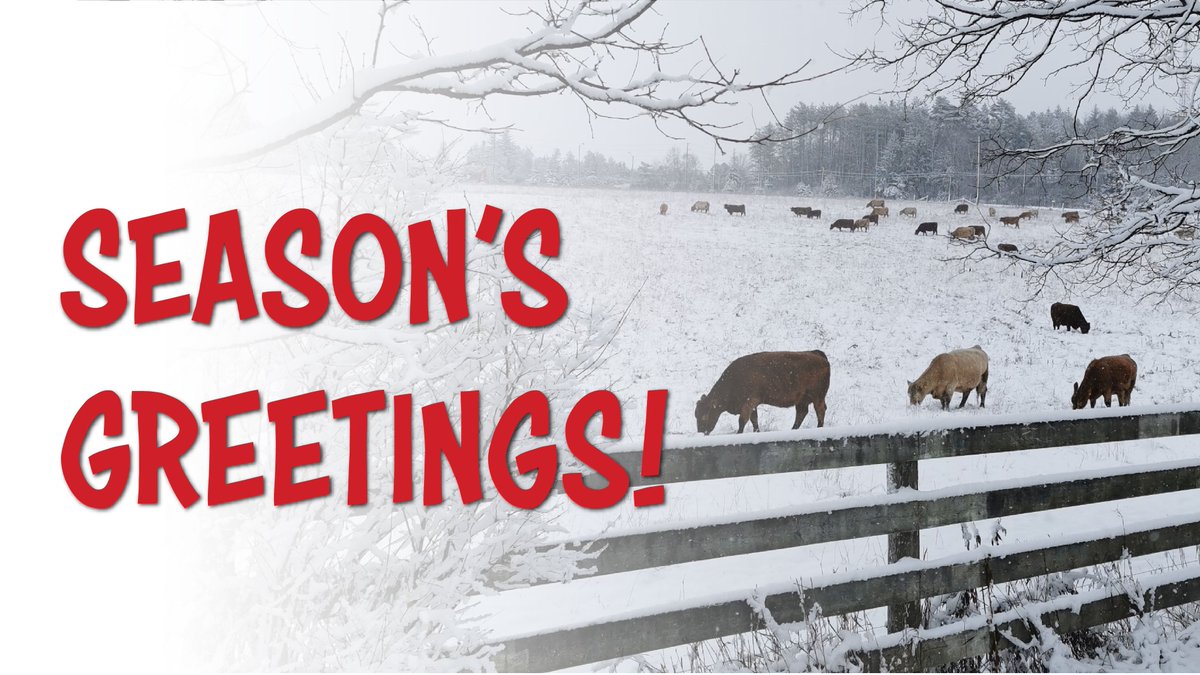 Wishing you a safe and happy holiday from everyone at #Mapleseed! 

Our office will be closed at noon today, so employees can enjoy time with family! 

We will re-open January 4, 2021!  🎄🍁🎅