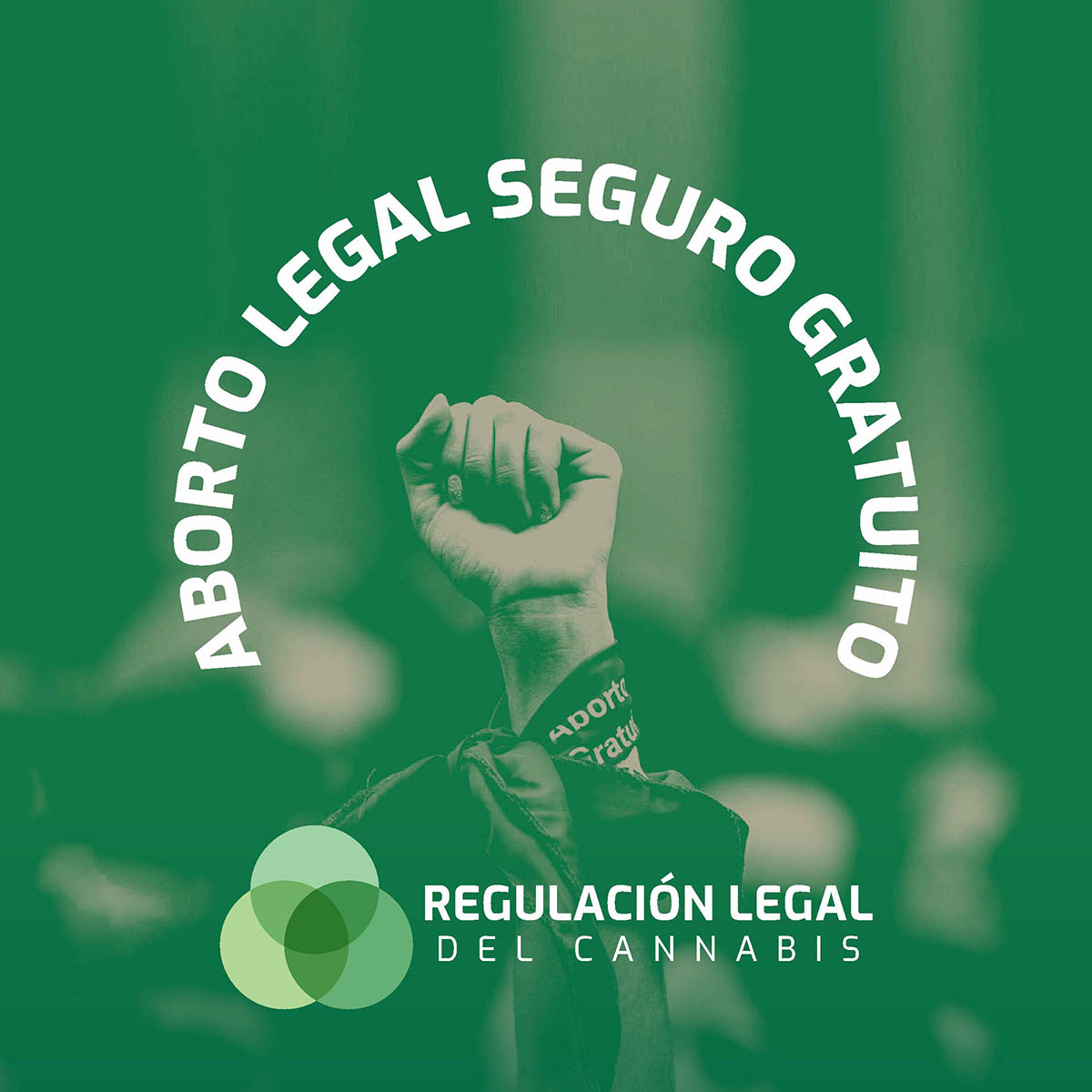 Queremos expresar nuestro apoyo a la lucha de la Campaña Nacional por el Derecho al Aborto en estos momentos decisivos para avanzar en el respeto por la autonomía, la libertad y el placer de las mujeres y personas gestantes. <a href="/campabortolegal/">#EsLey #SeguimosEnCampaña💚</a> #EsAhoraSenado #AbortoLegal2020