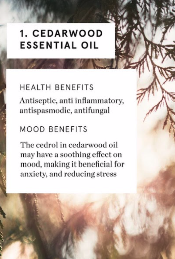 SeqParksCon's tweet photo. Some of the hottest items in our store right now are the amazing Sequoia fragrance products by Abbott. Here’s what makes Sequoia so wonderful:
#sequoiaparksconservancy #abbottnyc #sequoia #cleanbeauty #fragrance #fragrancelover #sequoianationalpark https://t.co/f5UzU4X4bw