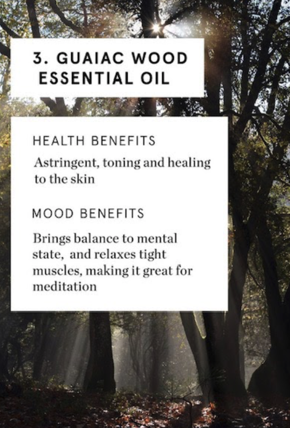 SeqParksCon's tweet photo. Some of the hottest items in our store right now are the amazing Sequoia fragrance products by Abbott. Here’s what makes Sequoia so wonderful:
#sequoiaparksconservancy #abbottnyc #sequoia #cleanbeauty #fragrance #fragrancelover #sequoianationalpark https://t.co/f5UzU4X4bw