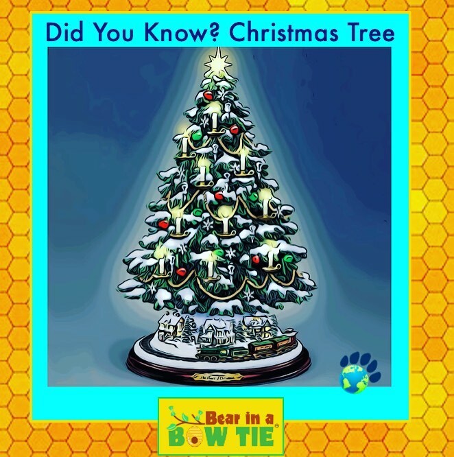BearinaBowTie1's tweet photo. Did You Know: we have #Germany 🇩🇪 to thank for the #ChristmasTree #tradition ? In the #16thcentury, Germans added lighted candles to a tree after being in awe of the brillance of stars twinkling among evergreens. 
#FunFact #Travel #HistoryforKids #Curiou… https://t.co/AJj7GhzlzE https://t.co/IapMHjSOTJ