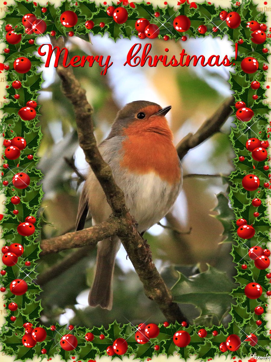 Wishing everyone a Safe, Happy, Healthy Christmas. 🙂