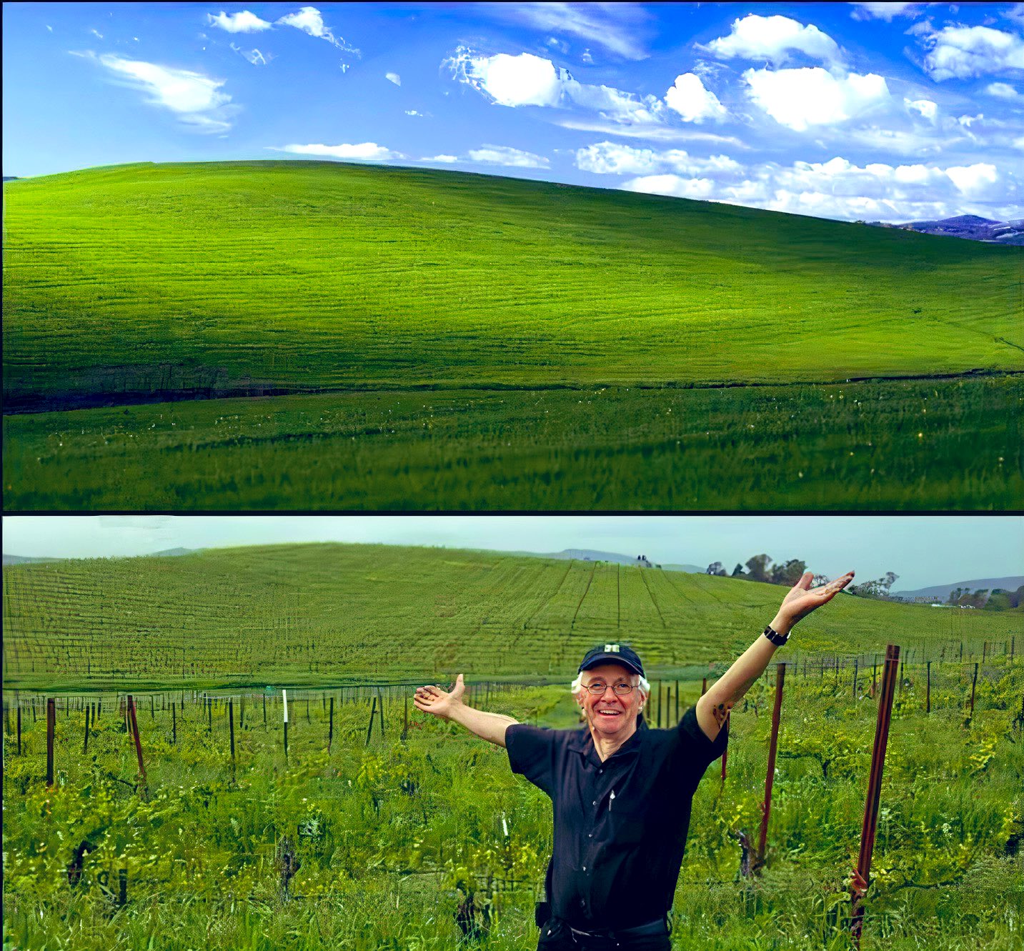 The Story behind the Famous Windows XP Desktop Background