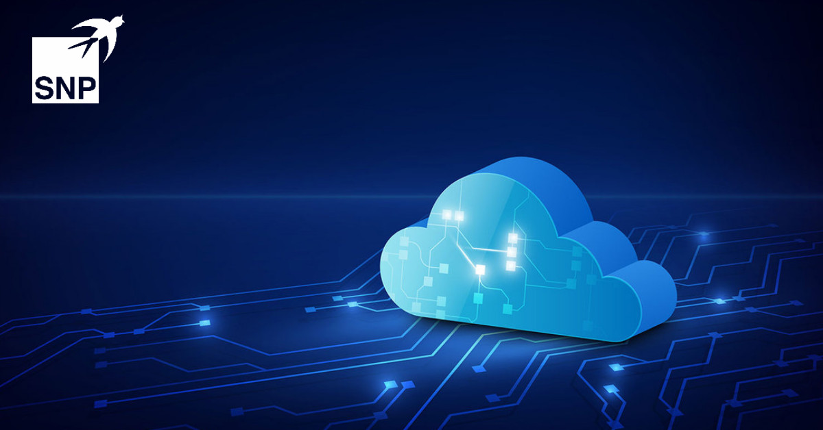 SNP_Americas's tweet image. SNP&apos;s solutions from the CrystalBridge software suite help you to considerably accelerate and simplify your transformation processes. #SAPCloudMigration bit.ly/2AGkz0z