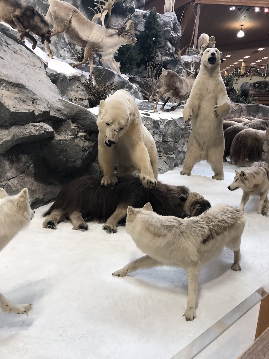 The “revenant” aesthetic remains consistent as you enter. They’ve set up elaborate taxidermy displays depicting the harsh reality of the natural world.