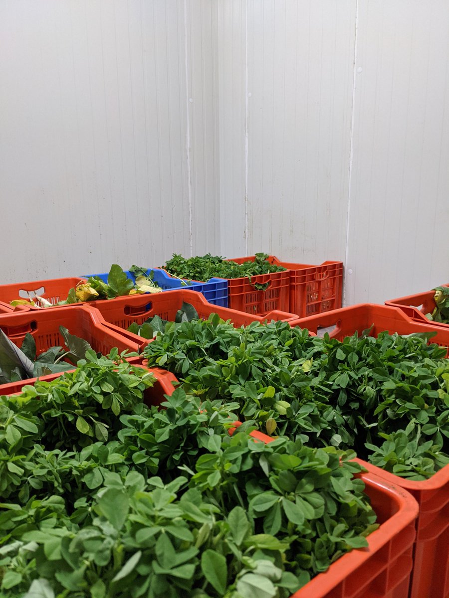 किसान दिवस के अवसर पर हम इस देश के उद्यमी किसानों को सलाम करते है |  इस देश के किसानो के लिए सरल एवं सहज समाधान और व्यवस्थाओ का निर्माण करने के लिए हम कटिबद्ध है | 
#किसानदिवस