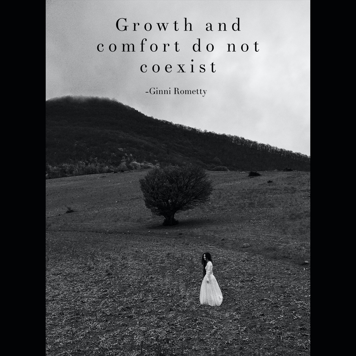 letsgrowvirtual's tweet image. "Growth and comfort do not coexist." - Ginni Rometty

#quote #letsgrowvirtual #growyourbusiness #onlinemarketing #business #digitalmarketingexpert