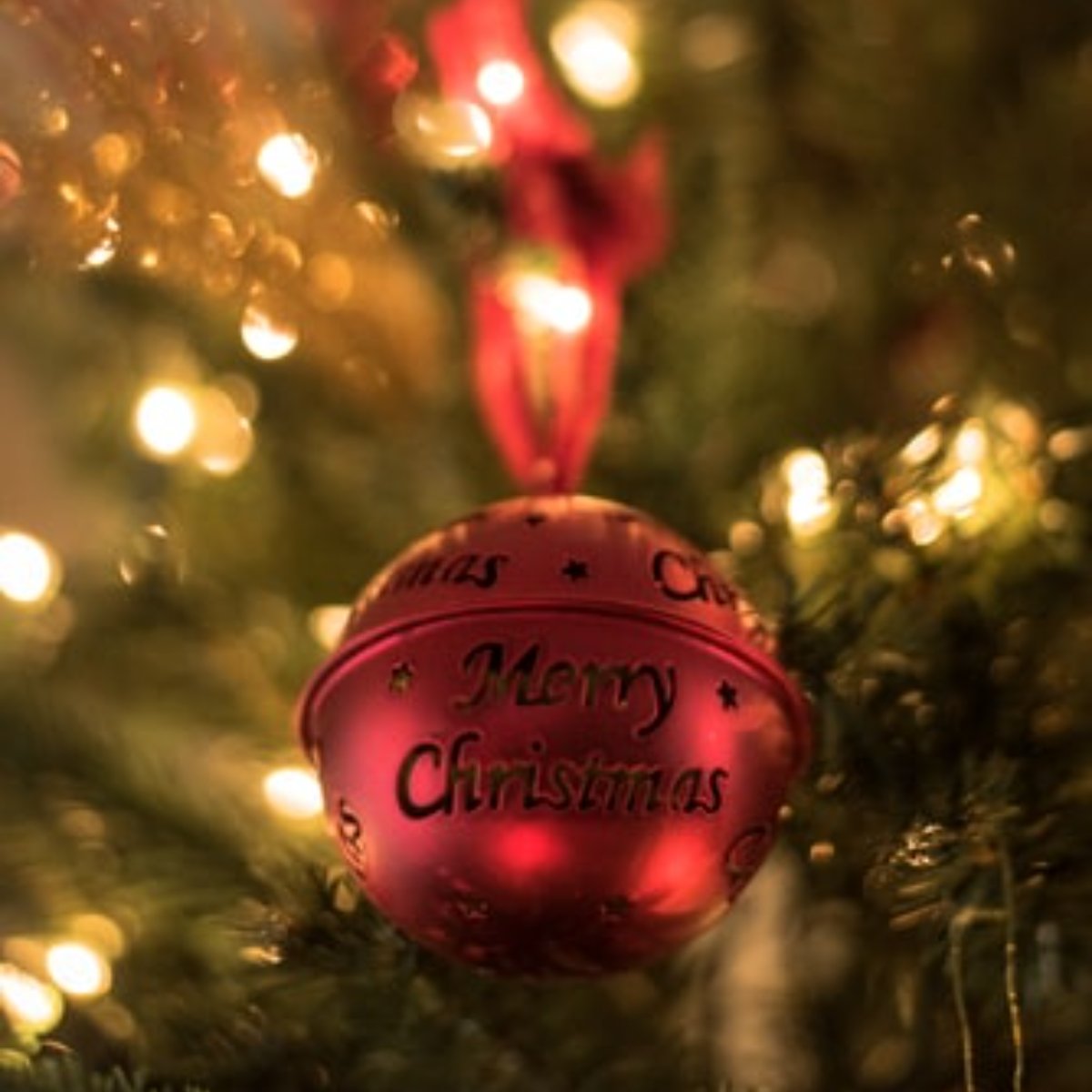 We wish you all a holiday filled with warmth, love, and delicious food! Merry Christmas from ours to yours.