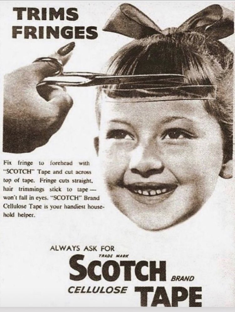 BowerBirdsHair tweet media