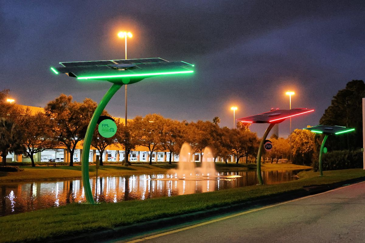 O Solar Tree, O Solar Tree - mailchi.mp/521fa3730a83/a…