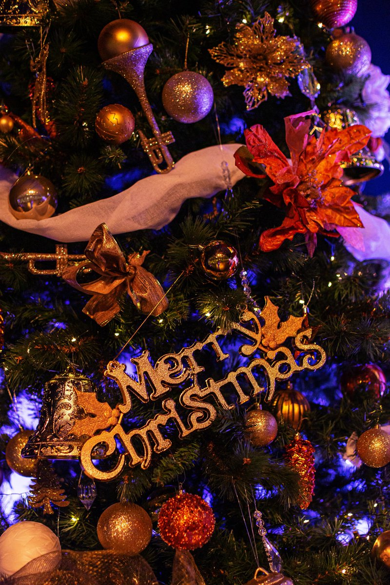 Merry Christmas from us at the U of C OC-SNP! #MerryChristmas #HappyHolidays #obesitycanada