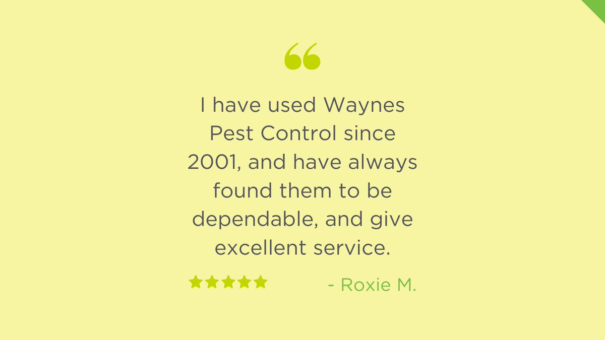 callwaynes's tweet photo. Roxie, we are so grateful you’ve allowed us to serve you for these past 9 years!
.
.
.
#CallWaynes #PulverizePests #MutilateMosquitoes #TackleTermites #LushLawns ⠀ https://t.co/6nLWWGQTgL