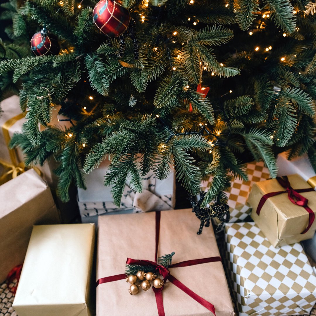 Are you all set for the celebrations to begin? 🎄🎁

📸 credit:  @olegzaicev

#Quupe #QuupeLife #Rental #RentFilmGear #HireACamera #Canon #Sony #Nikon #Photography #CameraOnRent #ChristmasCelebrations #ChristmasGifts #ChristmasTree #ChristmasDecor #Vancouver #BritishColumbia
