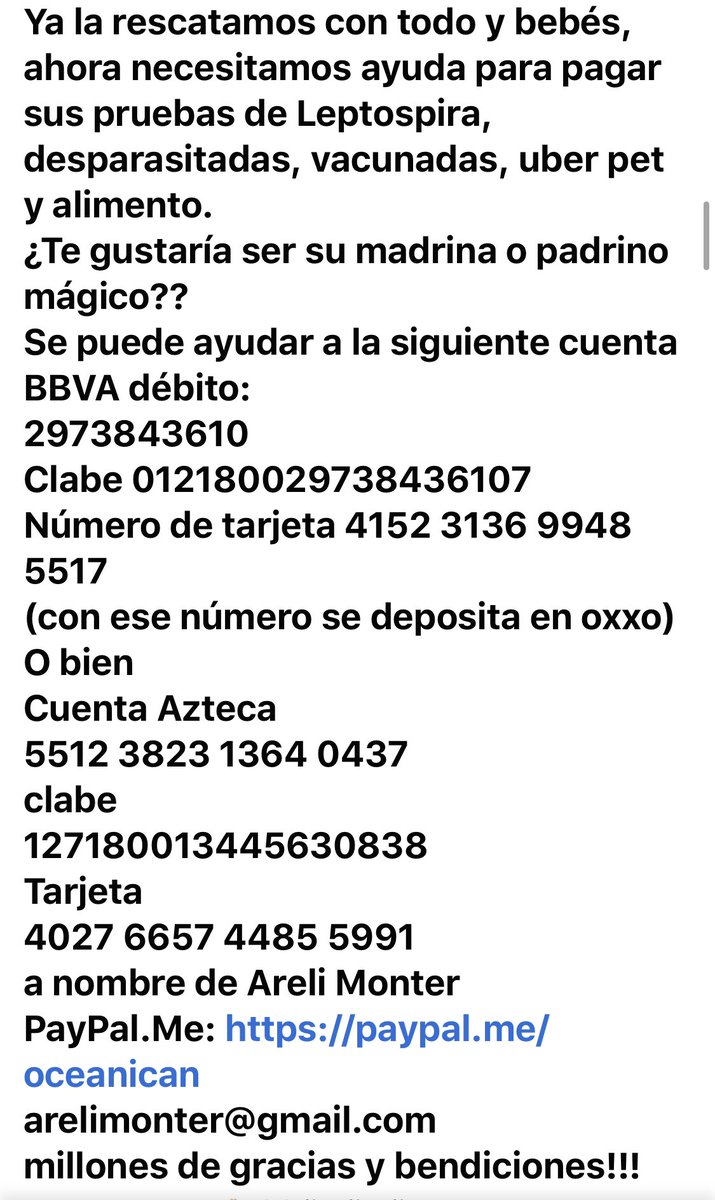 RefugiOceaniCAN's tweet photo. Todo suma🙏🏼 Nunca es poco, y entre todos sí podemos ayudarles. Mil gracias de antepata a todos los que se suman 🙏🏼🙏🏼🙏🏼💜🐾 https://t.co/FtYK9V5cD8