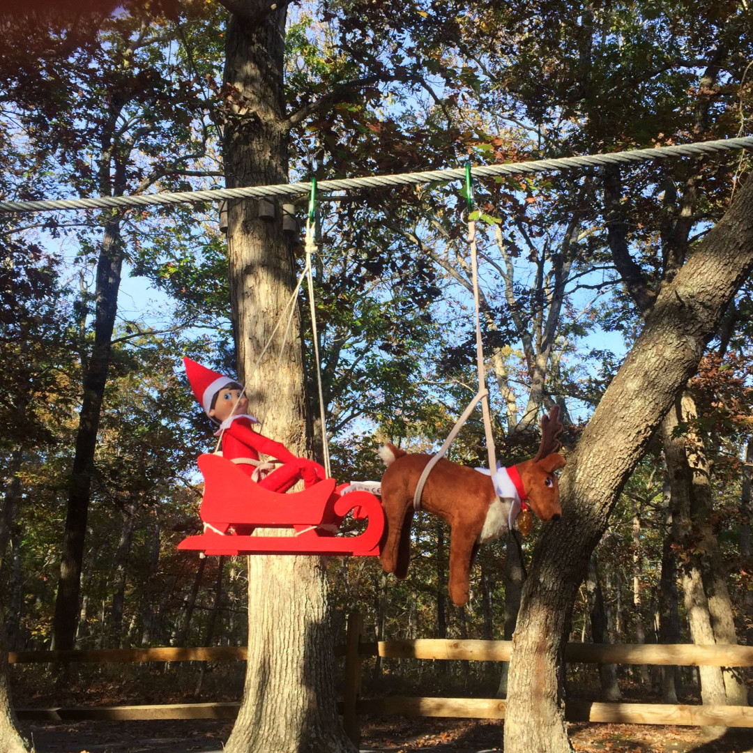 Tree2TreePark's tweet photo. It's  not too late to shop!  Zippy will instantly deliver a gift card to your inbox or the inbox of your favorite adventurer! 

https://t.co/veFwPrg1qe https://t.co/I3y9tdYsCN