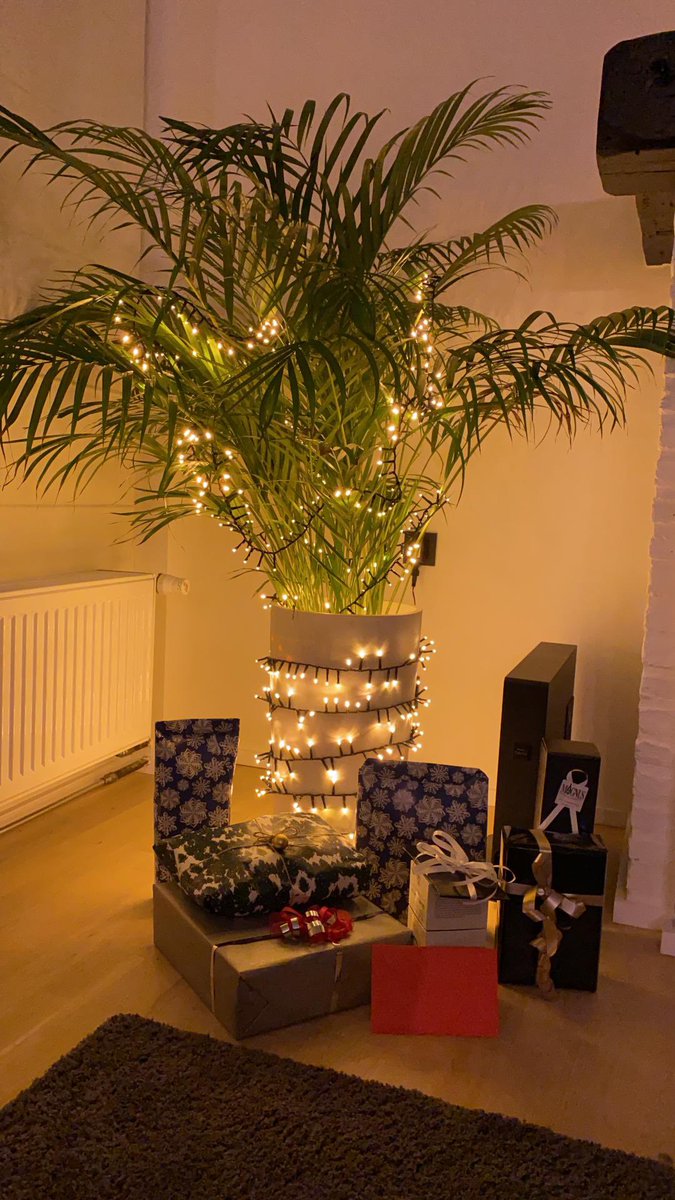 vanlerberghejor's tweet photo. 2020 samengevat in een kerstboom 🤦🏻‍♂️ https://t.co/5yJR5jzpfs