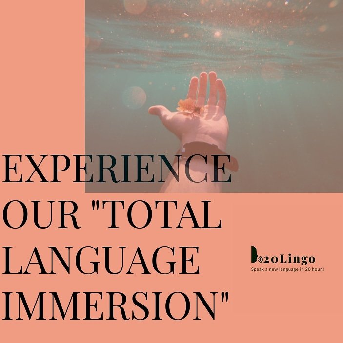 20Lingo's tweet photo. Learn a language the way a baby learns to speak, our "total immersion" approach will enable you to speak naturally and fluently.
#languageschool #languages #languagestudy https://t.co/LaJpxTvqRT