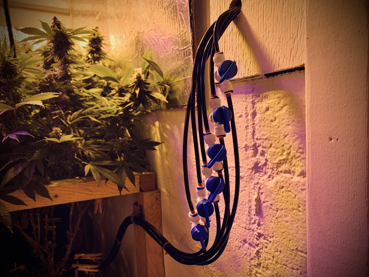BIG little addition to the room. Control valves for the "DIY, but working great" irrigation system. ;)

#Cannabismedicinal #cannabiscommunity #cannabisculture 
#wednesdaythought
