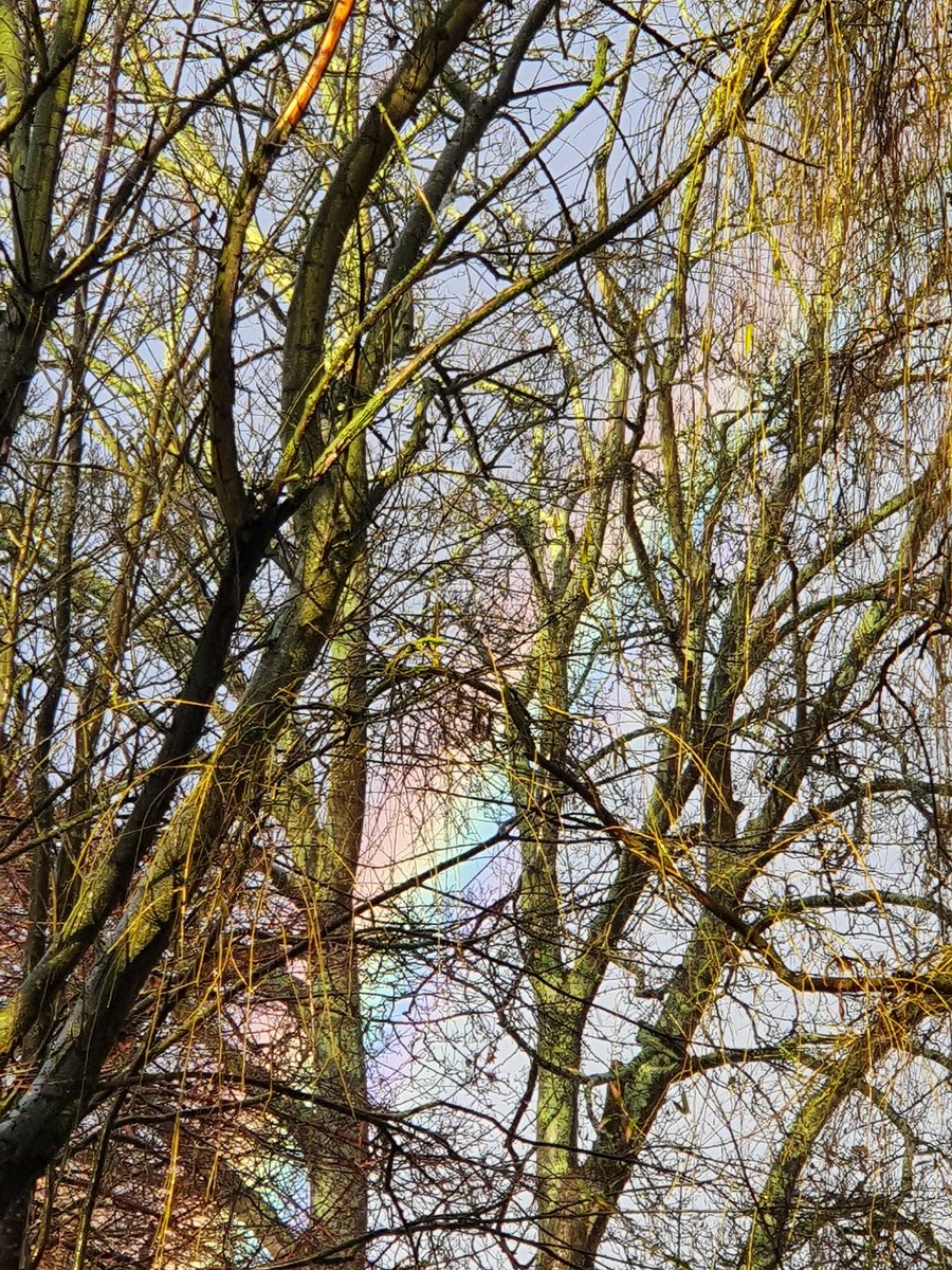 They asked her to send the suit in so they could assess it. Fair enough. Helen asked if she could rent a suit in the meantime, so she could carry on with the challenge. When she explained, those lovely people changed their minds and offered her an immediate replacement