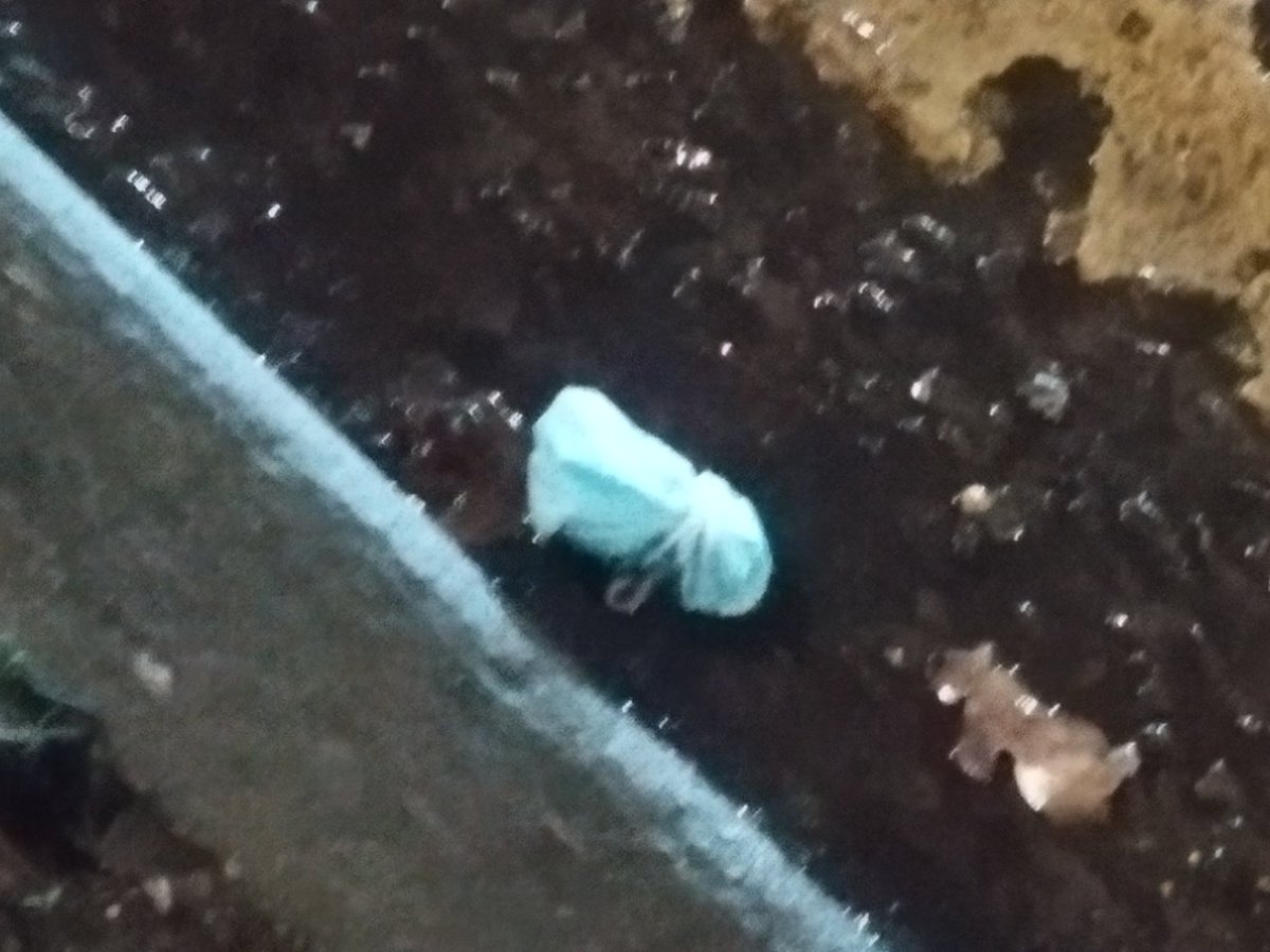 GestosoLoreto's tweet image. Even if you wrapped your plastic mask is not ok throw it there. Streets and fields looks like wasteland because lazy no brainers. How could we change this behaviour pattern?
#plasticpollution #polution #disposablefacemask #surrey #Guildford