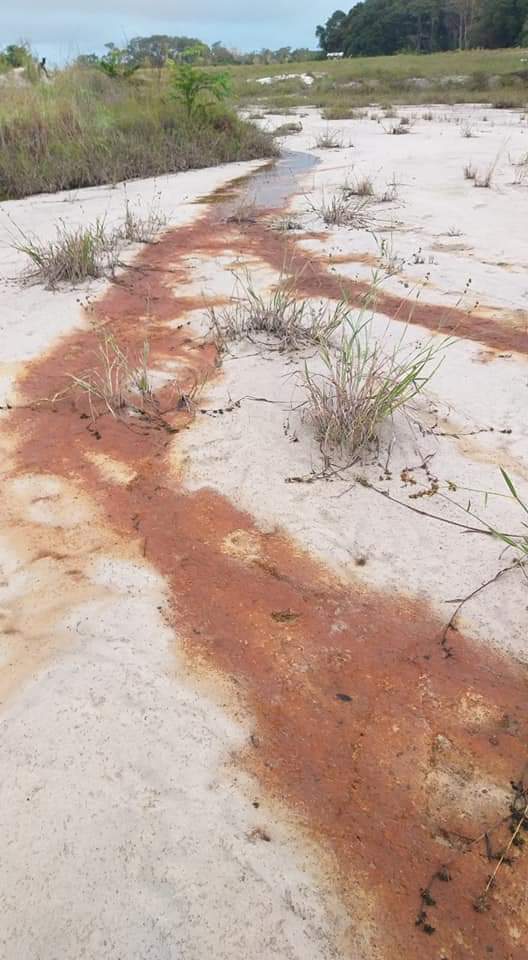 <a href="/ajplusfrancais/">AJ+ français</a> 🛑URGENCE 🛑#POLLUTION au #Gabon : Un drame écologique causé par #Perenco qui risque de passer sous silence. Marée Noire <a href="/Survie/">Survie</a> <a href="/Asso_Sherpa/">Sherpa</a>
 <a href="/CecileDuflot/">Cécile Duflot ❄️</a> <a href="/amisdelaterre/">Les Amis de la Terre FR</a> <a href="/Survie/">Survie</a> <a href="/Senat/">Sénat</a> <a href="/ajplusfrancais/">AJ+ français</a> <a href="/MEDEF_I/">MEDEF International</a> <a href="/JLMelenchon/">Jean-Luc Mélenchon</a> <a href="/JLBorloo/">Jean-Louis BORLOO</a> <a href="/EvaJoly/">Eva Joly</a> <a href="/yjadot/">Yannick Jadot</a> <a href="/greenpeacefr/">Greenpeace France</a> <a href="/francediplo/">France Diplomatie 🇫🇷🇪🇺</a>