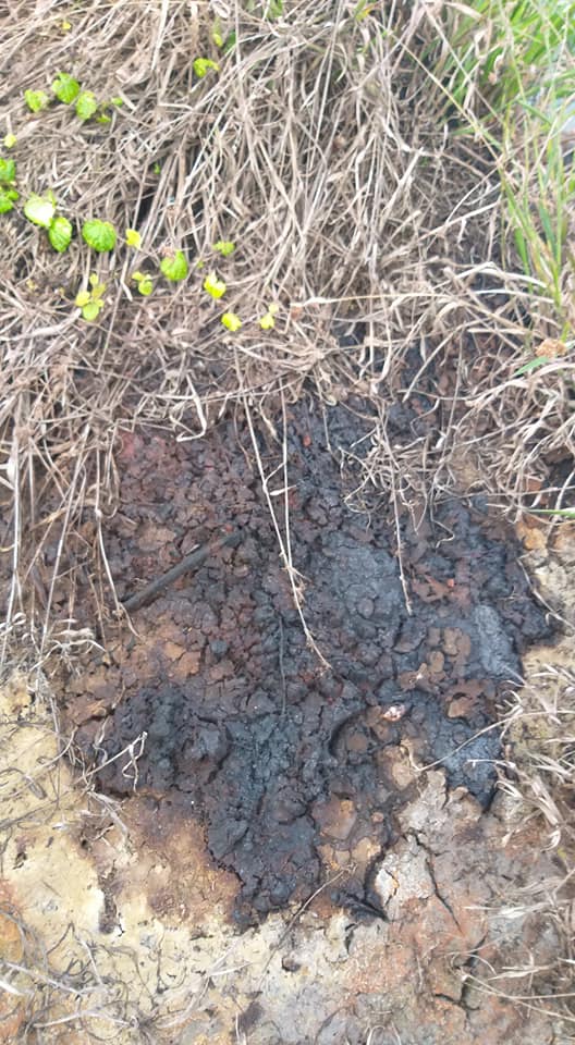 <a href="/ajplusfrancais/">AJ+ français</a> 🛑URGENCE 🛑#POLLUTION au #Gabon : Un drame écologique causé par #Perenco qui risque de passer sous silence. Marée Noire <a href="/Survie/">Survie</a> <a href="/Asso_Sherpa/">Sherpa</a>
 <a href="/CecileDuflot/">Cécile Duflot ❄️</a> <a href="/amisdelaterre/">Les Amis de la Terre FR</a> <a href="/Survie/">Survie</a> <a href="/Senat/">Sénat</a> <a href="/clauvergnier/">Chloé Lauvergnier</a> <a href="/MEDEF_I/">MEDEF International</a> <a href="/JLMelenchon/">Jean-Luc Mélenchon</a> <a href="/JLBorloo/">Jean-Louis BORLOO</a> <a href="/EvaJoly/">Eva Joly</a> <a href="/yjadot/">Yannick Jadot</a> <a href="/greenpeacefr/">Greenpeace France</a> <a href="/francediplo/">France Diplomatie 🇫🇷🇪🇺</a>