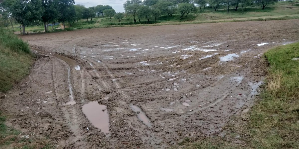 Photo below shows the before condition of the fields - i.e. before we did anything.We hoped tht good land preparation would improve things. We chisel ploughed to break any hard pan, & improve soil absorption, & made beds to raise the plants over the furrows & the water level