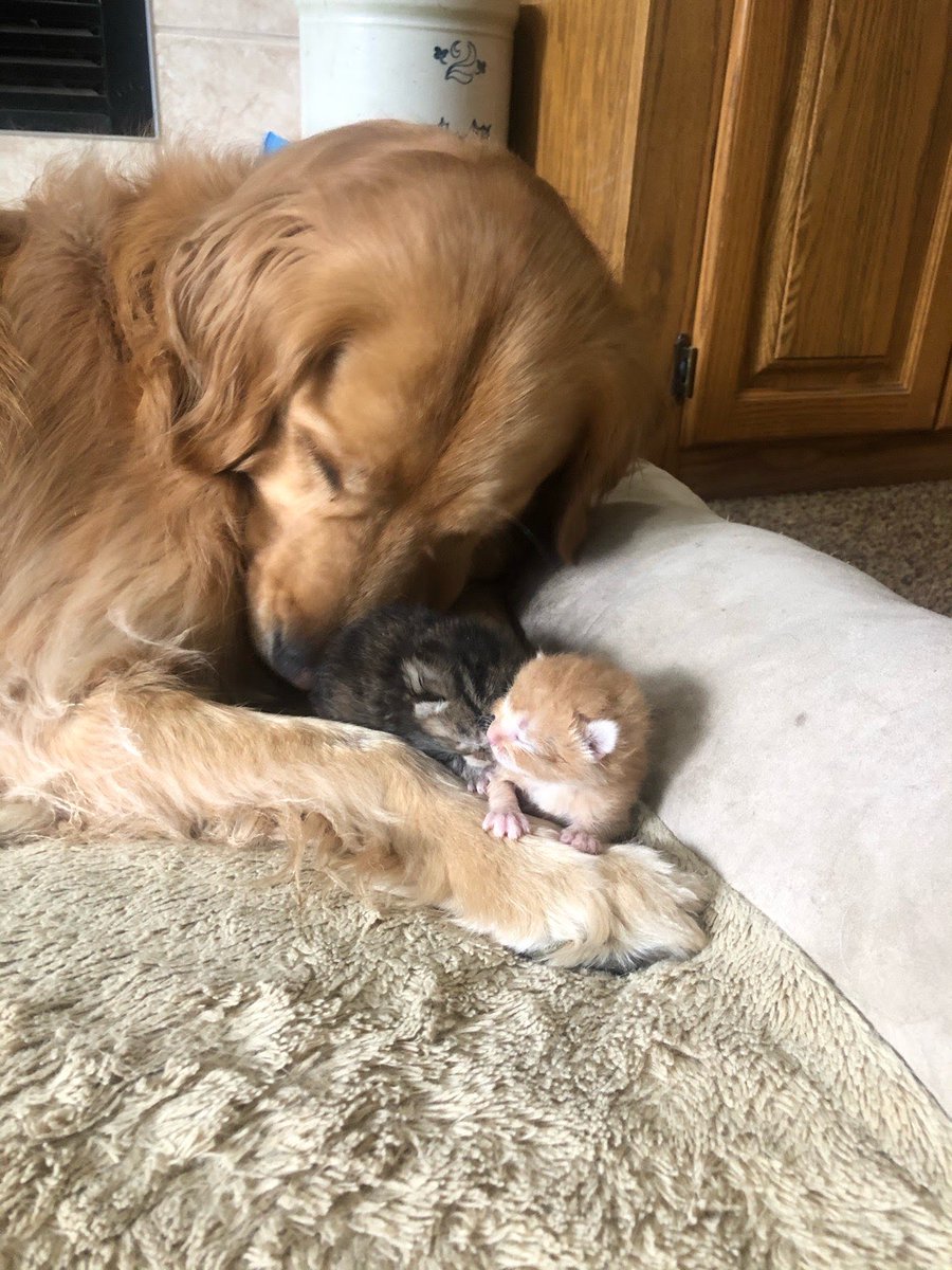 How it started          How it's going