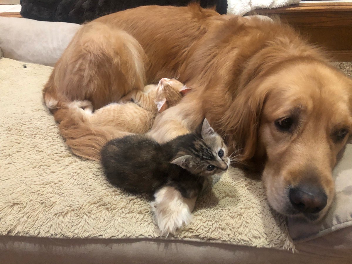 How it started          How it's going