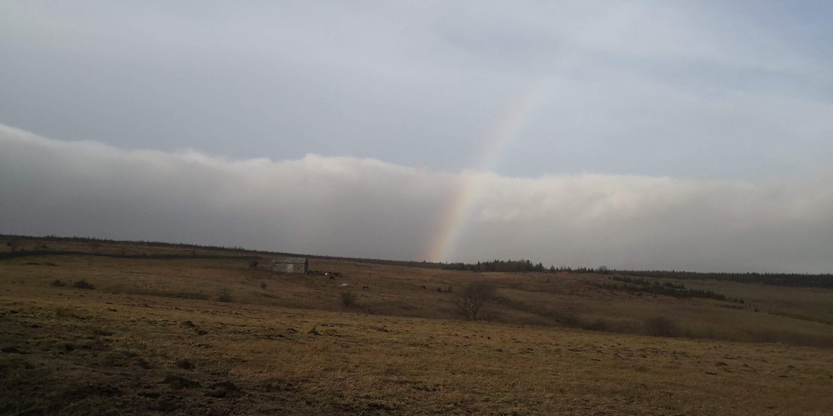 January was welcomed in in the lake district walking & mountain biking with  @GeoffCrowther1  @chrissiepebbles &  @bpackingbongos i also managed to trap my thumb in my van door 