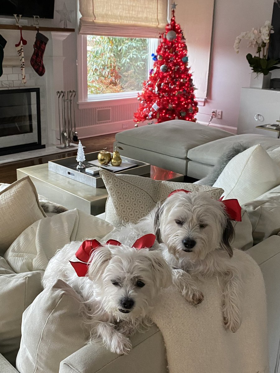 Biggy & Smallz tweet media