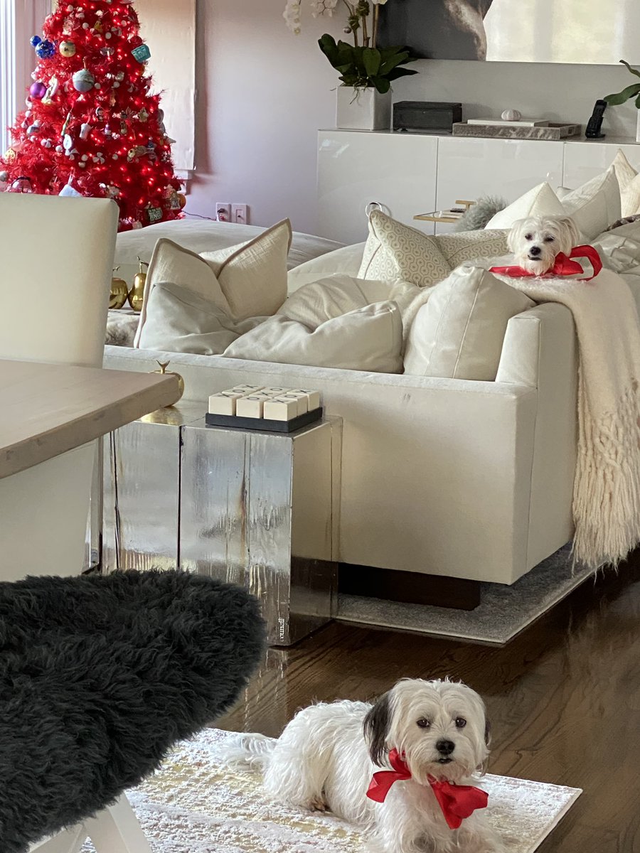 Biggy & Smallz tweet media