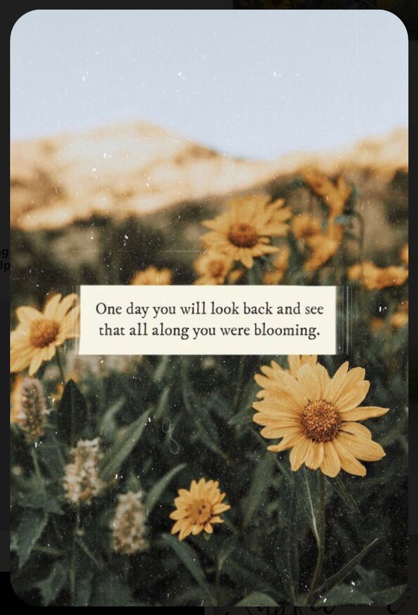 Pixel On Paper tweet media