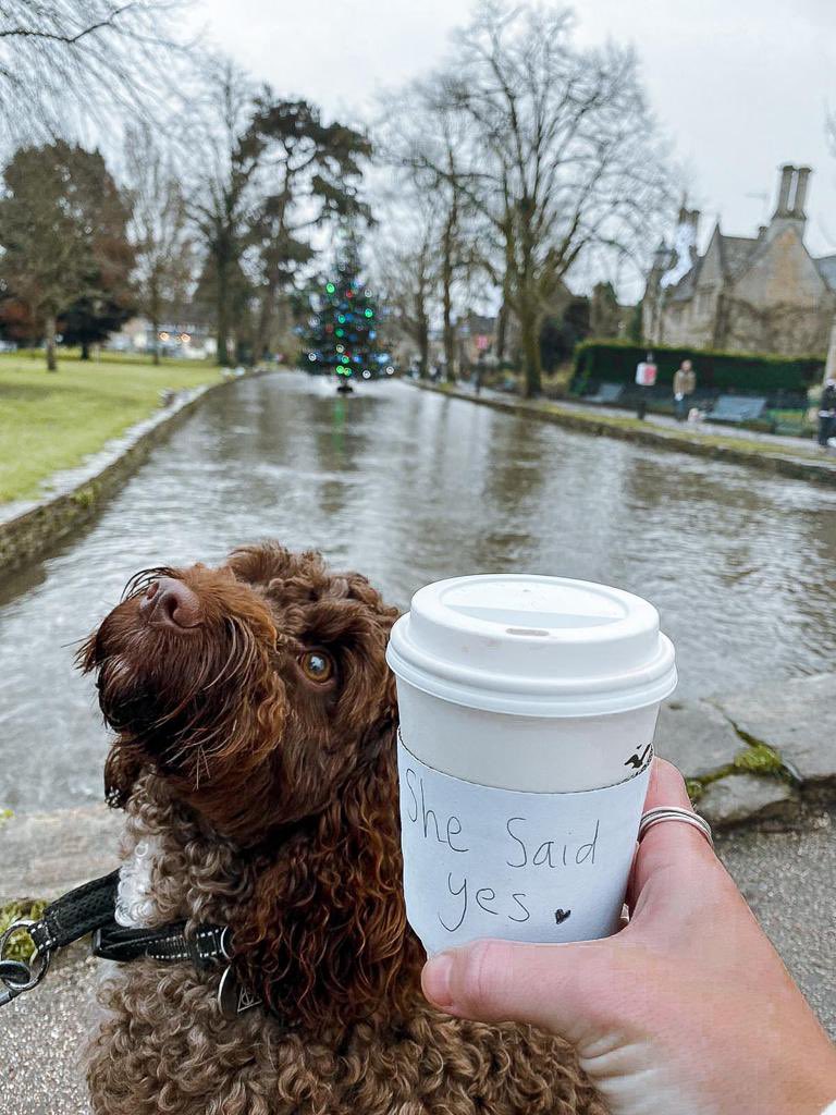 Amy James Turner tweet media